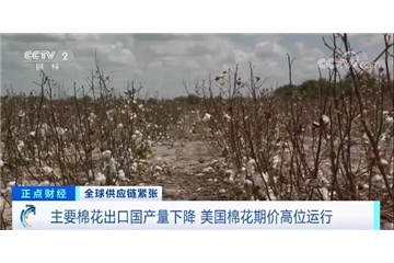 央視調查：棉花大漲！服裝訂單量下滑，外貿企業麵臨“三座大山”