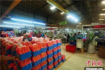 走訪柬埔寨製衣廠：產量恢複至疫前水平！